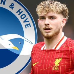 Harvey Elliott Masuk Radar Brighton, Tawaran Besar Disiapkan